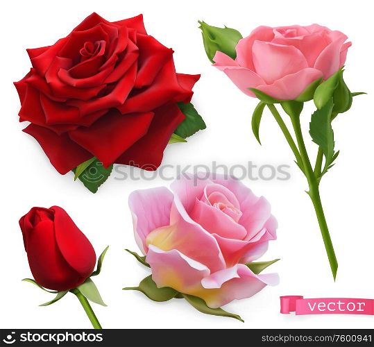 Red and pink roses. 3d realistic vector set