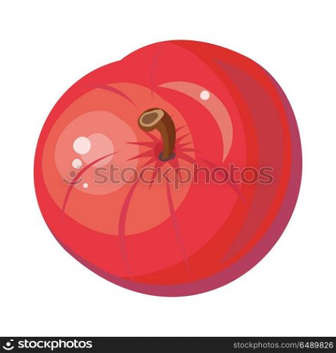 Red Apple Isolated. Pomaceous Fruit. Vector. Red apple isolated. Pomaceous fruit. Tasty popular autumn fruit. Healthy juicy fresh apple. Sign symbol of autumn. Appetizing dessert. Vegetarian organic food. Vector illustration in flat style