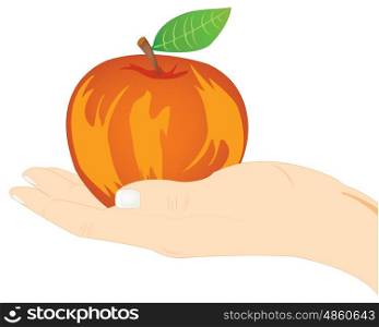 Red apple on palm. Ripe red apple in hand of the person on white background