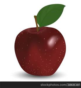 Red apple on white. EPS 10 vector illustration with mesh and transparency.