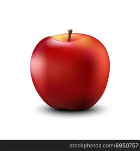 Red apple realistic detailed 3d illustration isolated on white. Vector.