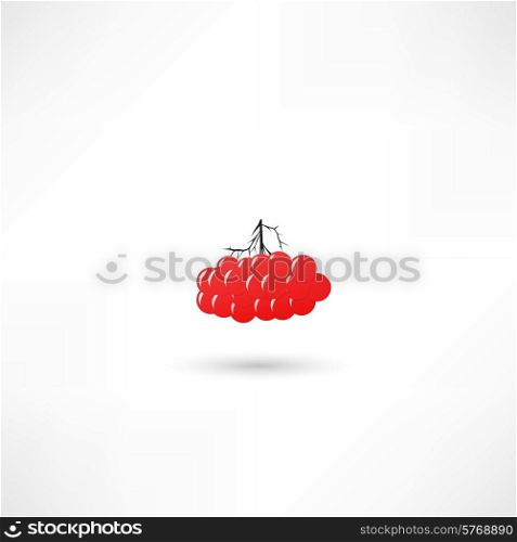 Red berries viburnum on a white background