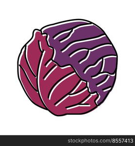 red cabbage color icon vector. red cabbage sign. isolated symbol illustration. red cabbage color icon vector illustration