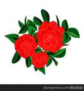 Red camellia icon. Cartoon of red camellia vector icon for web design isolated on white background. Red camellia icon, cartoon style
