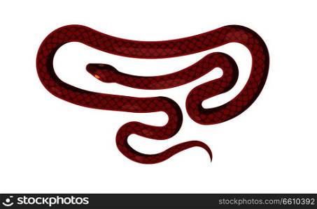 Red cartoon flat snake isolated on white background. Vector illustration of dangerous cold-blooded scaly reptile that lives all over world. Picture of wild world s representative that can poison.. Red Snake Isolated Illustration. Cartoon Reptile