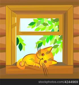 red cat on a summer day lies on a windowsill at the open window wooden farmhouse