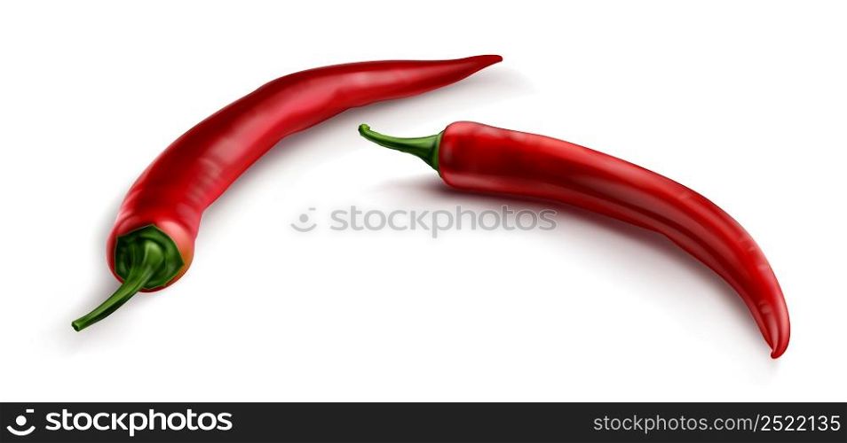 Red chili pepper, hot spicy plant pod, paprika cayenne with green stem vector realistic illustration isolated on white background. Ripe vegetable with shadow. Red chili pepper, hot spicy paprika cayenne