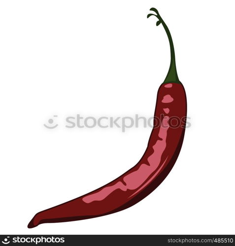 Red chilli pepper vector illustration on a white background