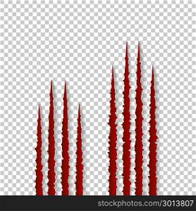 Red claws scratches - vector isolated on transparent background. Talons cuts animal cat, dog, tiger, lion, bear. Red claws scratches - vector isolated on transparent background. Talons cuts animal cat, dog, tiger, lion, bear illustration. Can be used for decoration, as design element at printing, textile