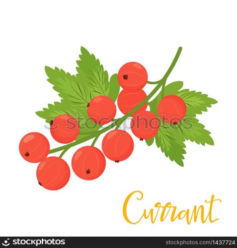 Red currant isolated on white background. Red cartoon currant isolated on white background