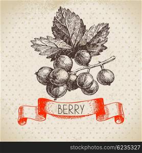 Red currants. Hand drawn sketch berry vintage background. Vector illustration of eco food