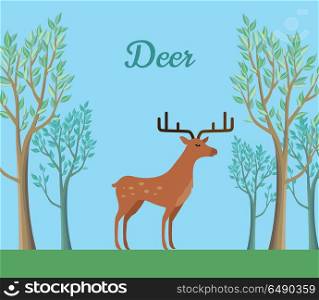 Red Deer in the Forest. Ruminant Mammal. Red deer in the forest. Ruminant mammal with antler. Red deer, sika deer, barasingha, reindeer. Deer in tundra or in tropical rainforest. Wildlife concept. Herbivorous animal. Vector illustration