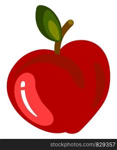 Red flat apple, illustration, vector on white background.