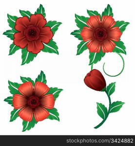 Red flower collection