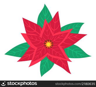 Red flower icon. Poinsettia on green leaves. Winter holidays symbol isolated on white background. Red flower icon. Poinsettia on green leaves. Winter holidays symbol