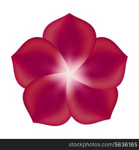 Red Flower, Isolated On White Background. Vector Illustration
