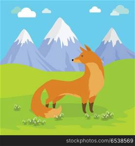 Red Fox Standing on the Meadow in the Mountains.. Red fox vulpes standing on the meadow in the mountains. Cute wild animal with flattened skull, upright triangular ears, pointed snout, and long bushy tail. Cartoon banner. Vector design illustration