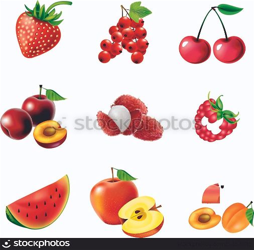 Red fruits and berries, set of isolated, detailed vector illustrations and icons