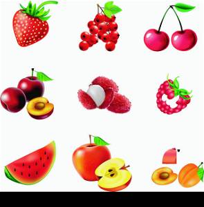 Red fruits and berries, set of isolated, detailed vector illustrations and icons