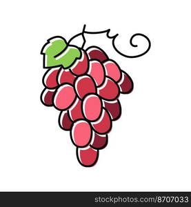 red grapes bunch color icon vector. red grapes bunch sign. isolated symbol illustration. red grapes bunch color icon vector illustration