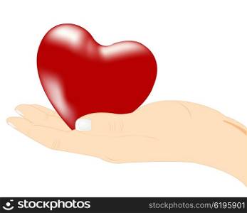 Red heart in hand. Red heart in hand on white background is insulated