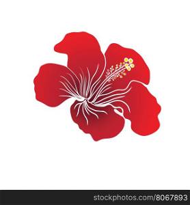 Red Hibiscus flower on white background. Vector illustration. Can be used for logo, logotype, sticker, web, print and other design