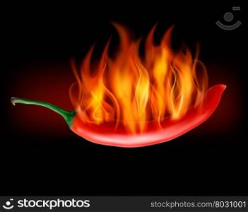 Red hot chili pepper on fire. Vector.