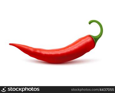 Red Hot Chili Pepper Realistic Image. Red hot natural chili pepper pod realistic image with shadow for culinary products and recipes vector illustration