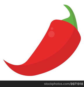 Red hot pepper, illustration, vector on white background