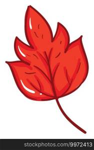 Red leaf, illustration, vector on white background