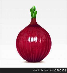 Red lettuce onion on the white background