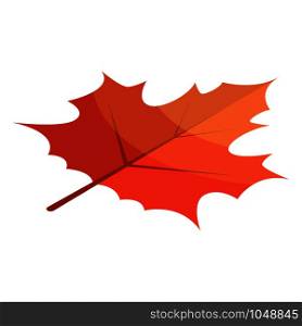 Red maple leaf icon. Isometric of red maple leaf vector icon for web design isolated on white background. Red maple leaf icon, isometric style