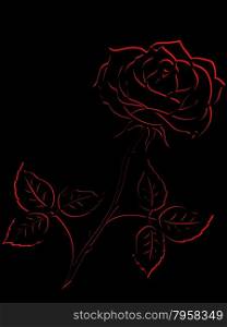 Red outline of single rose flower isolated on a black background, vector illustration