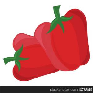 Red pepper, illustration, vector on white background.