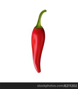 Red Pepper Isolated on White Background Vector Illustration. Illustration Red Chili Pepper Isolated on White Background - Vector