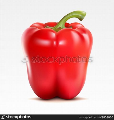 Red pepper on the white background