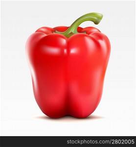 Red pepper on the white background