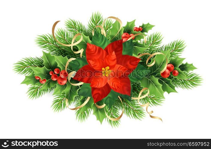 Red poinsettia flower realistic illustration. Xmas wreath in ribbons. Poinsettia flower, mistletoe, red berries, fir branches Christmas decor. Poster, banner floral design element. Isolated vector. Red poinsettia flower realistic illustration