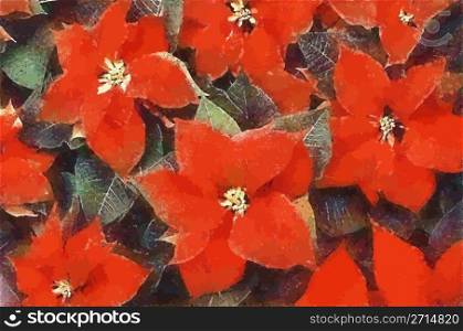 Red Poinsettia Flowers with leaves (in Pastels)