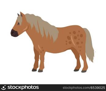 Red pony vector. Flat design. Domestic animal. Country inhabitants concept. For farming, animal husbandry, horse sport illustrating. Agricultural species. Isolated on white background. Red Pony Vector Illustration in Flat Design. Red Pony Vector Illustration in Flat Design