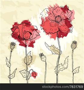 Red poppies on crumpled paper background. Vector illustration