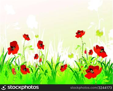 red poppies on green field with copy space, vector illustration