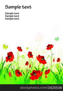 red poppies on green field with copy space, vector illustration