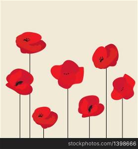 Red Poppy flower isolated on beige background, vector illustration. Red Poppy flower background, vector illustration