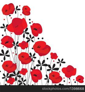 Red Poppy flower isolated on white background, vector illustration