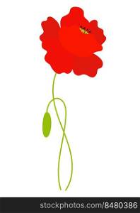 Red poppy flower with bud. Vector illustration. Field beautiful flower for design and decor, print, postcards, covers