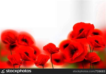 Red Poppy flowers background. Vector illustration