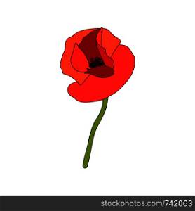 Red Poppy full-blown flower and stem. Side view. Anzac. Flat sketch style. Bud flagging. Scarlett drooping petals. Remembrance. Vector illustration. Papaveroideae. cards invitation decoration. Red Poppy full-blown flower and stem. Side view. Anzac. Flat sketch style. Bud flagging