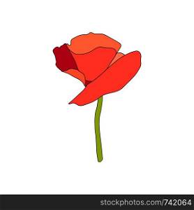 Red Poppy full-blown flower and stem. Side view. Flat sketch style. Scarlett petals. Day of Remembrance. Vector illustration. Anzac. Papaveroideae. Papaver somniferum. cards invitation decoration. Red Poppy full-blown flower and stem. Side view. Flat sketch style. Scarlett petals. Day of Remembrance.
