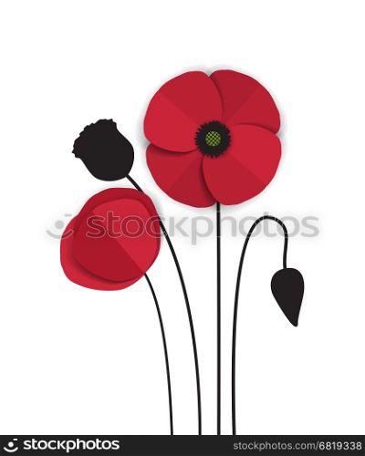 Red Poppy. Vector red romantic poppy flowers and grass